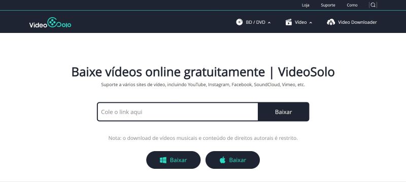 online video downloader