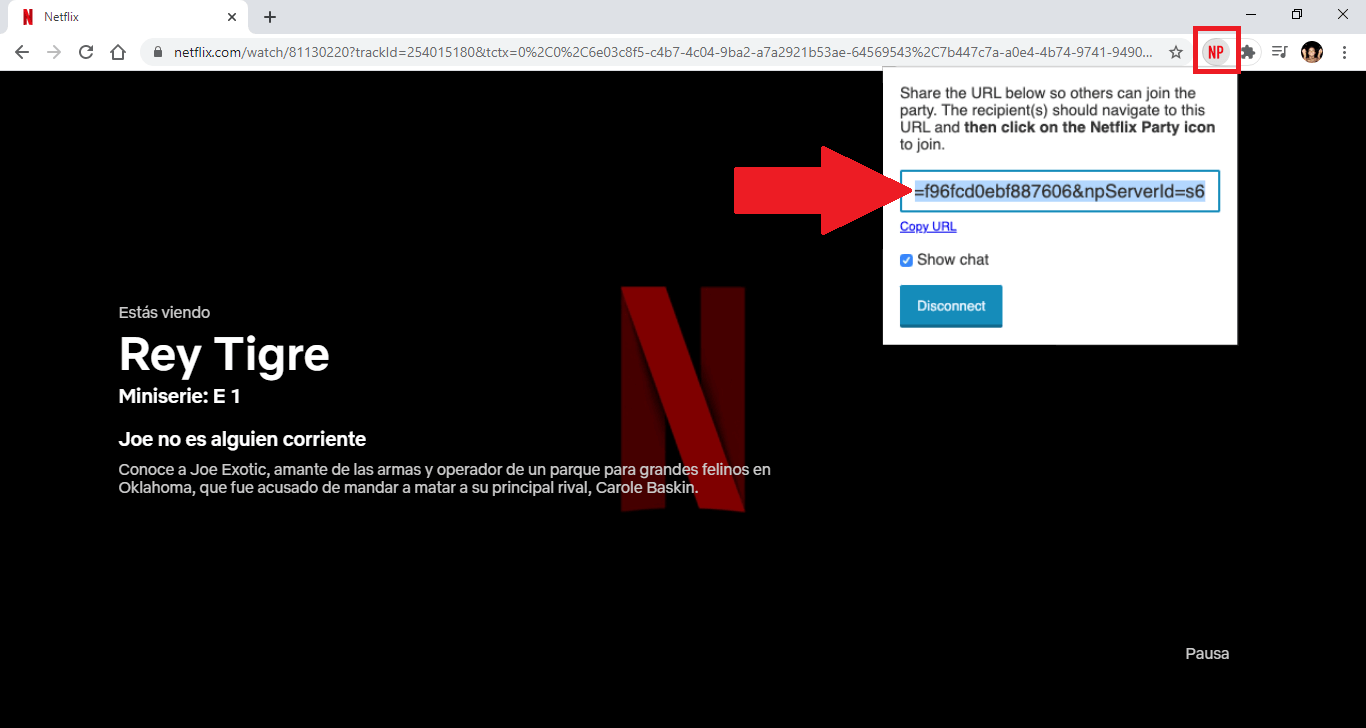 URL von Netflix kopieren