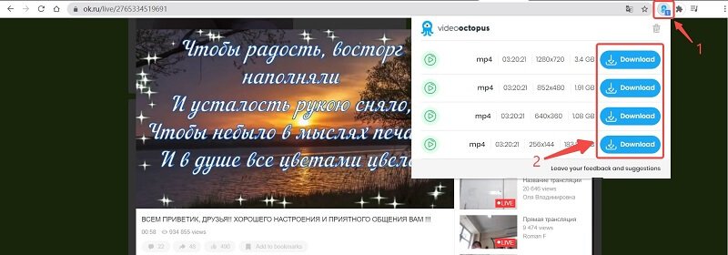Télécharger la vidéo Ok.ru à l'aide d'extension