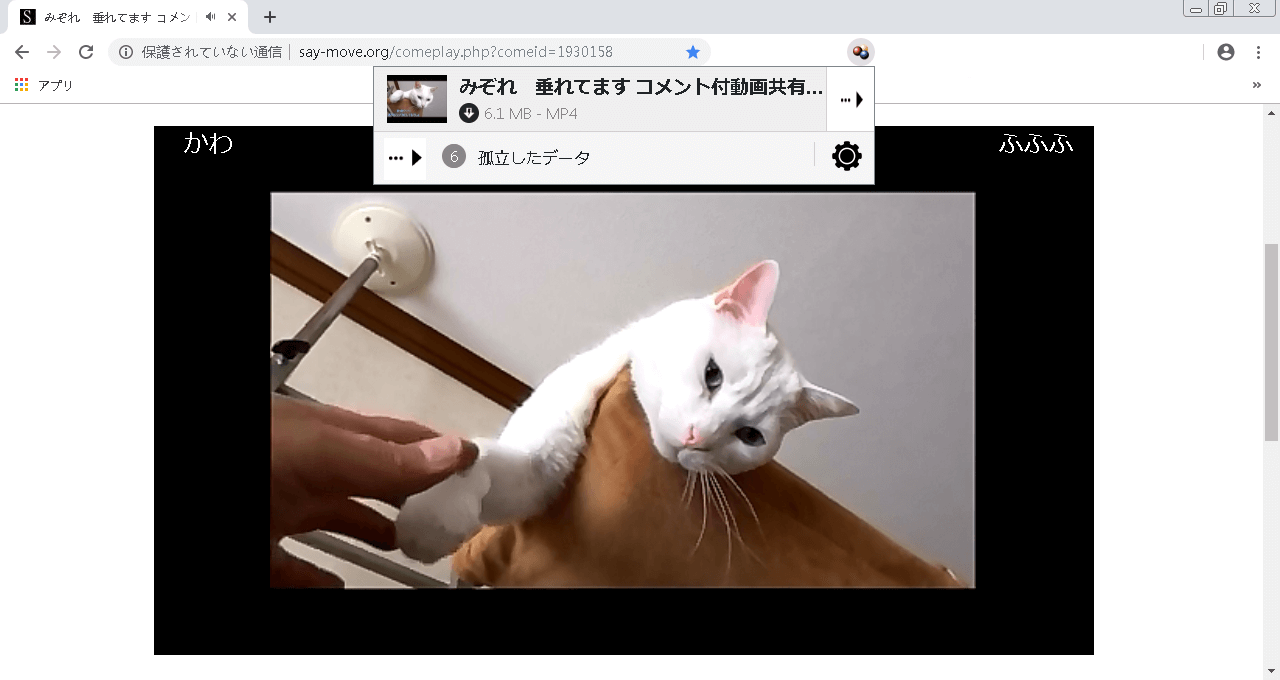 動画ダウンロード