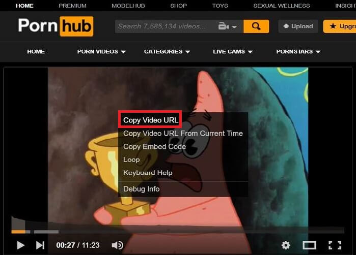 Copy Pornhub Link