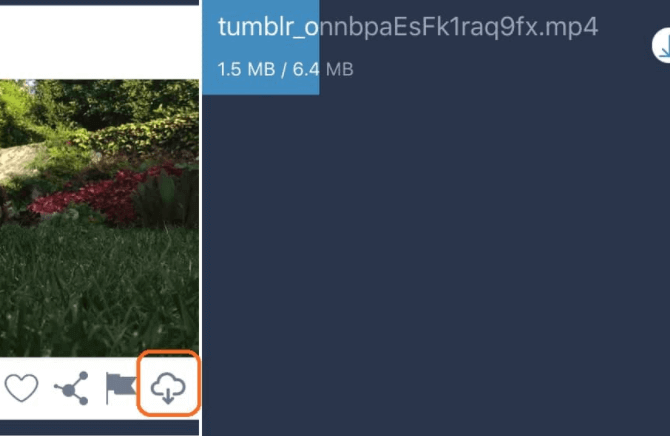 Tyblr