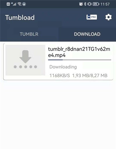 downloader for Tumblr