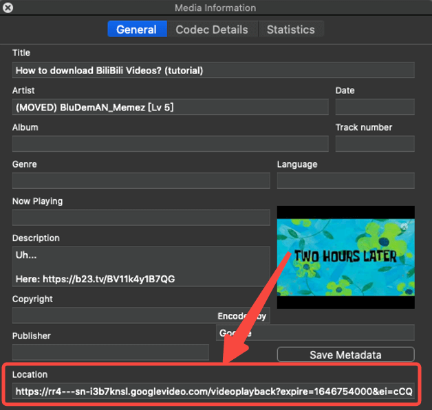 VLC Current Media Information interface