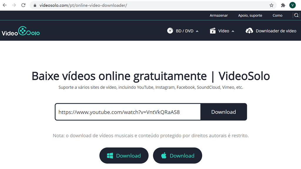 VideoSolo Onmline Video Downloader