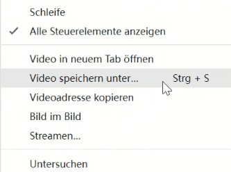 Seitenquelltext Video speichern