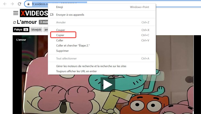 copier le lien d'une vidéo XVideos