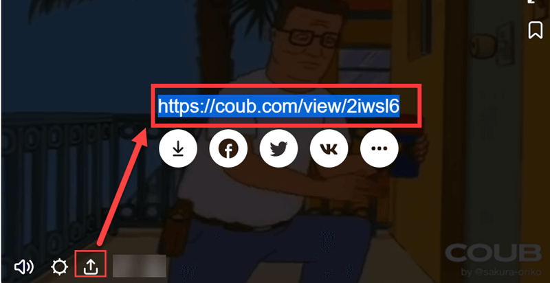 Coub Link kopieren