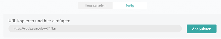 Coub URL analysieren
