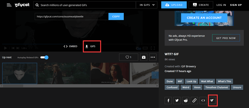 GIF downloaden Teilen Schaltflächen