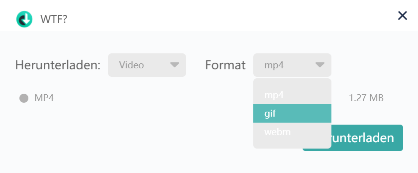 GIF Format auswählen