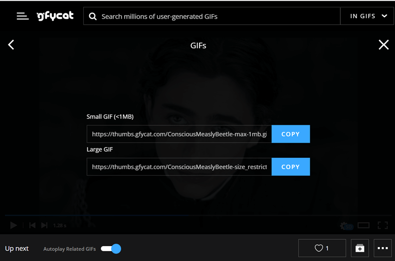 GIF Größe-wählen