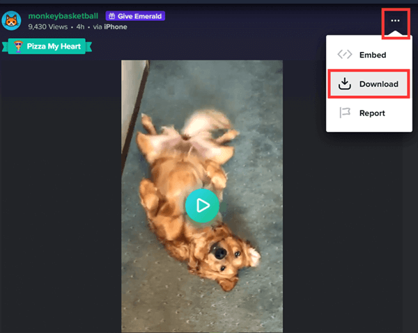 Imgur Download von offizieller Webseite