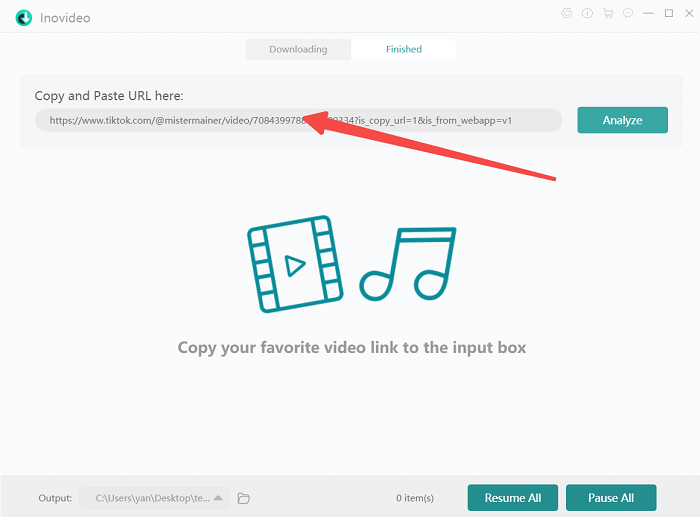 Paste TikTok Video Link to TikTok Downloader