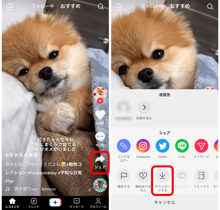 AndroidでTikTokのダウンロード準備