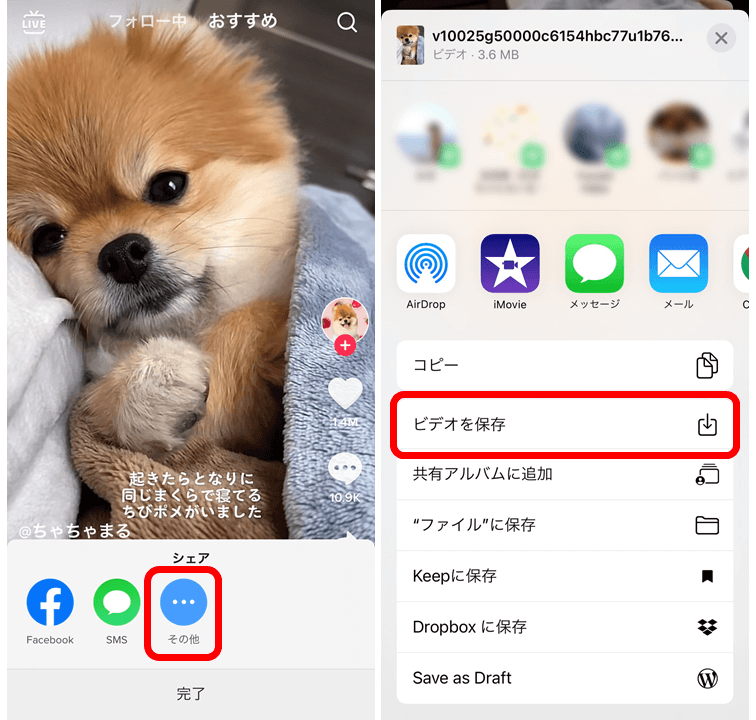 TikTokの動画をAndroidに保存