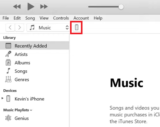Select Automatic Sync in iTunes