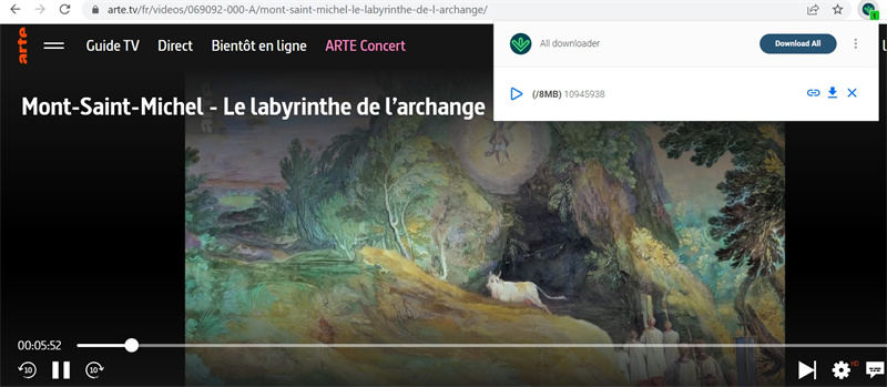 l'extension de navigateurs pour télécharger des vidéos Arte