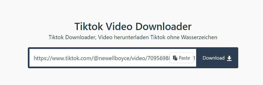 TikMate Online Downloader