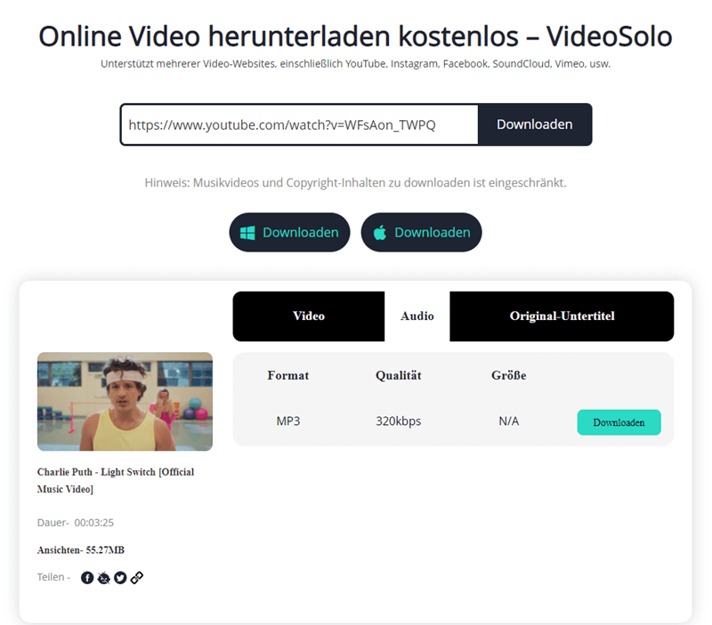 VideoSolo Online Video Downloader