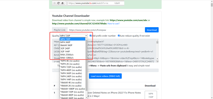 YouTube Multi Downloader Output